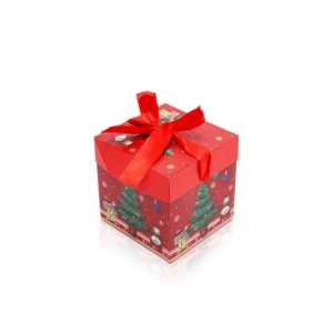 Christmas Gift Boxes